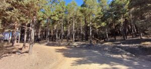 20250917_113512 (Klein)