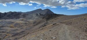 20250917_171236 (Klein)